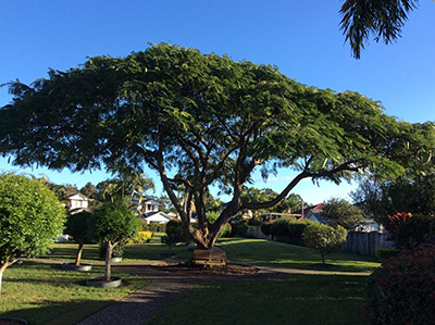 crown lifting gold coast