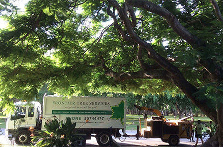 Frontier Tree Services Gold Coast