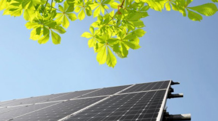 tree pruning for solar panels