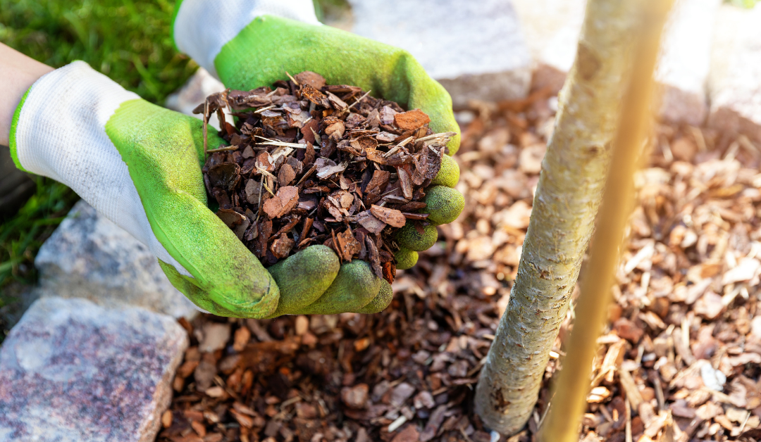 Benefits of  Mulching Your Garden
