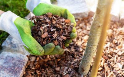 Benefits of  Mulching Your Garden