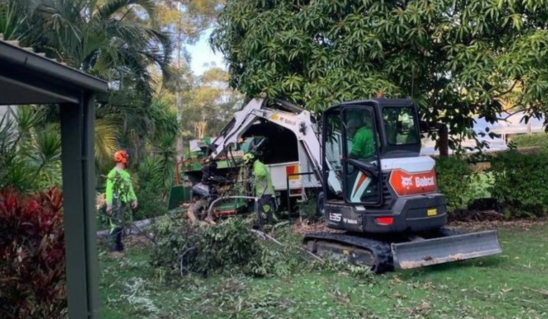 Why You Should Call An Arborist After A Strong Storm