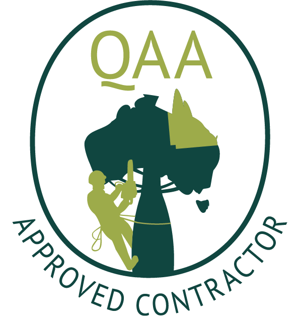 QAA Qualified member logo