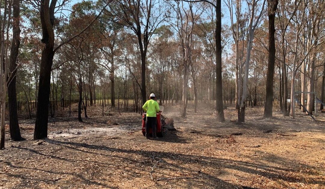 A Timely Response to Bushfire Aftermath with Tree Removal