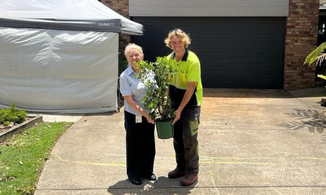 Gold Coast Tree Removal